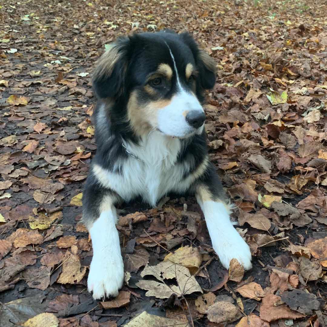 placeholder image-sq