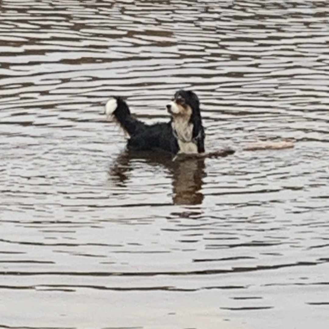 placeholder image-sq