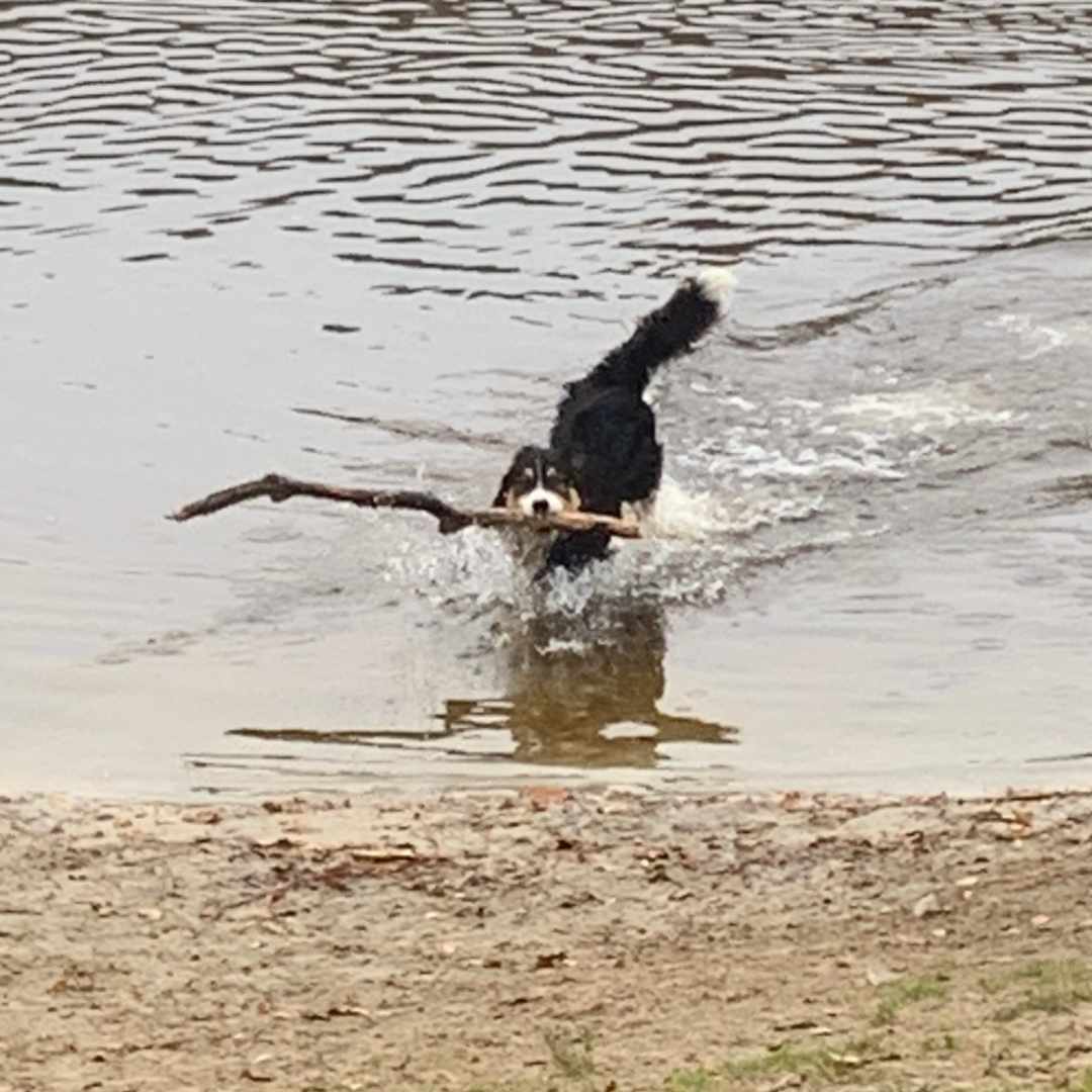 placeholder image-sq