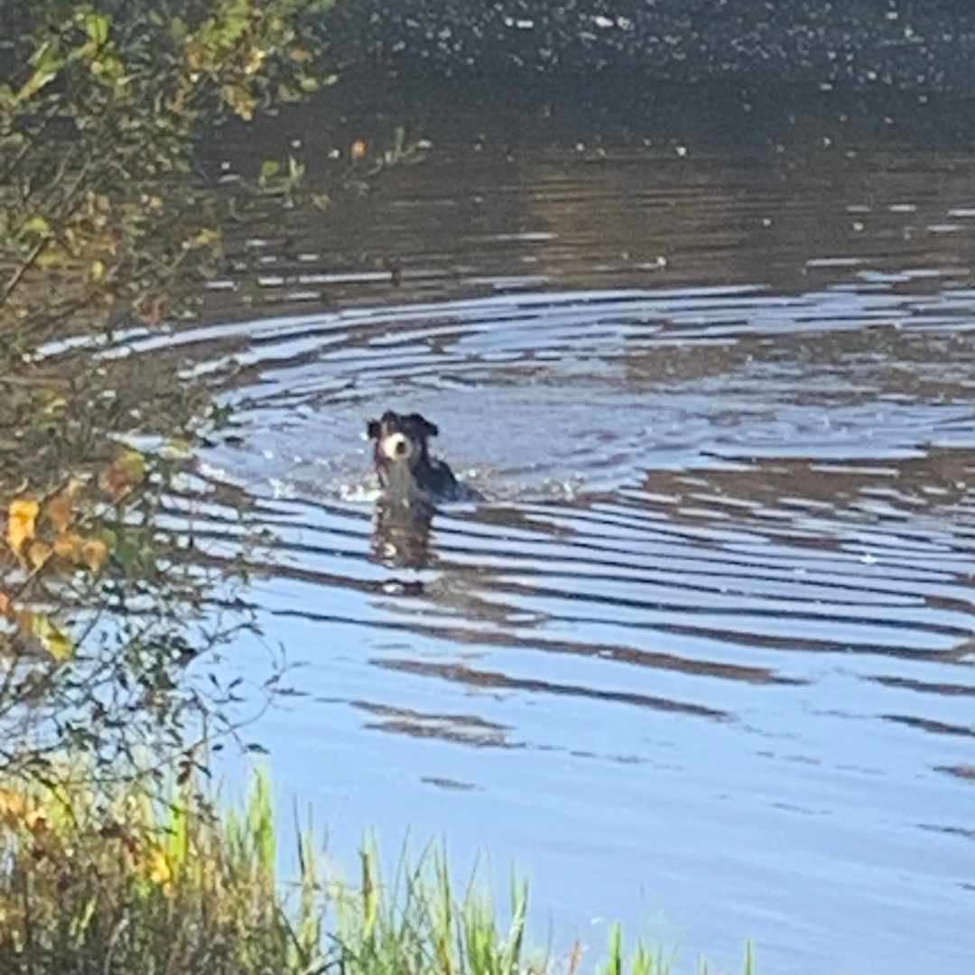 placeholder image-sq