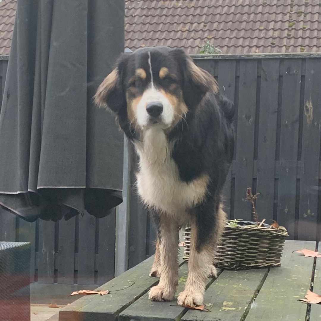 placeholder image-sq