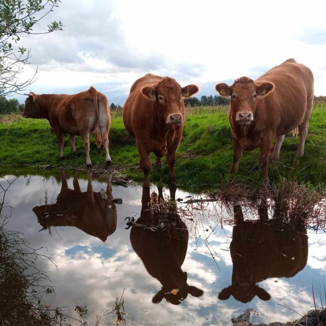 placeholder image-sq