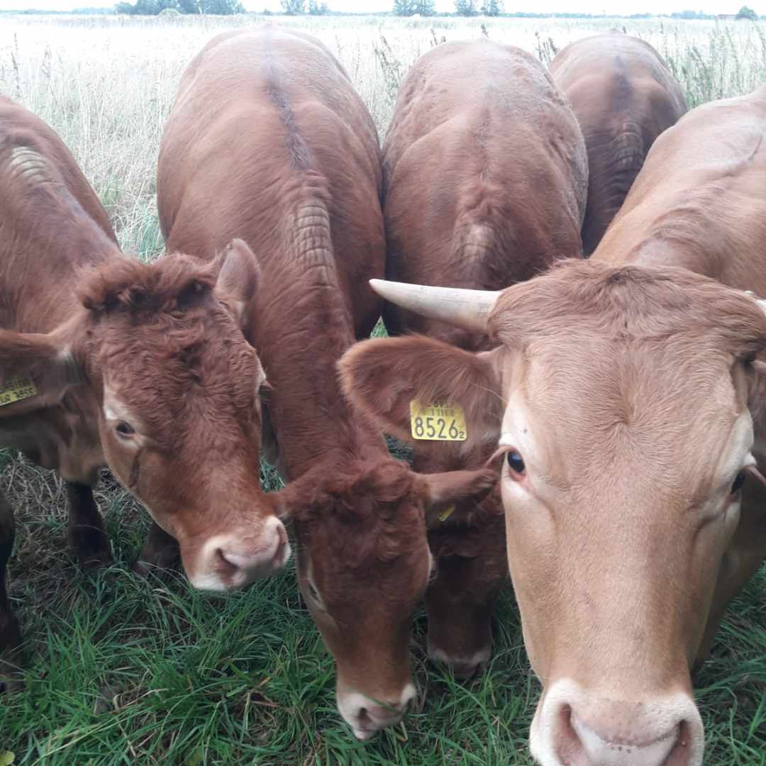 placeholder image-sq