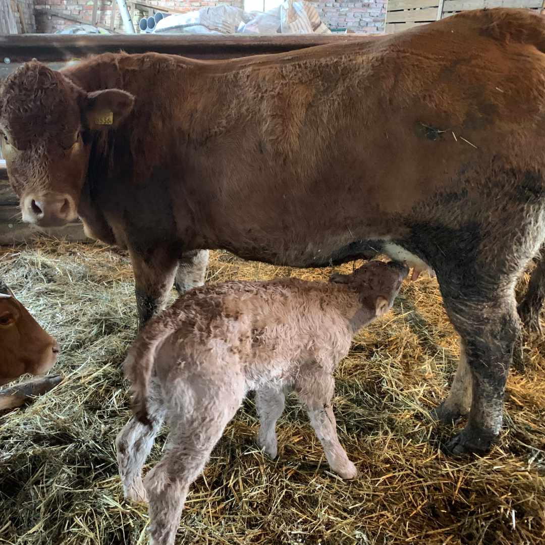 placeholder image-sq