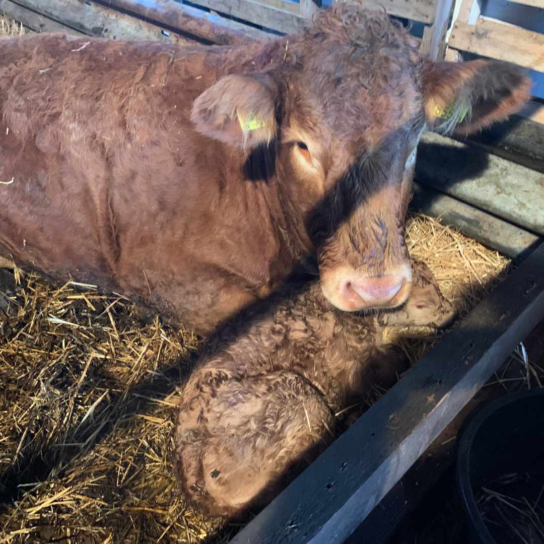 placeholder image-sq