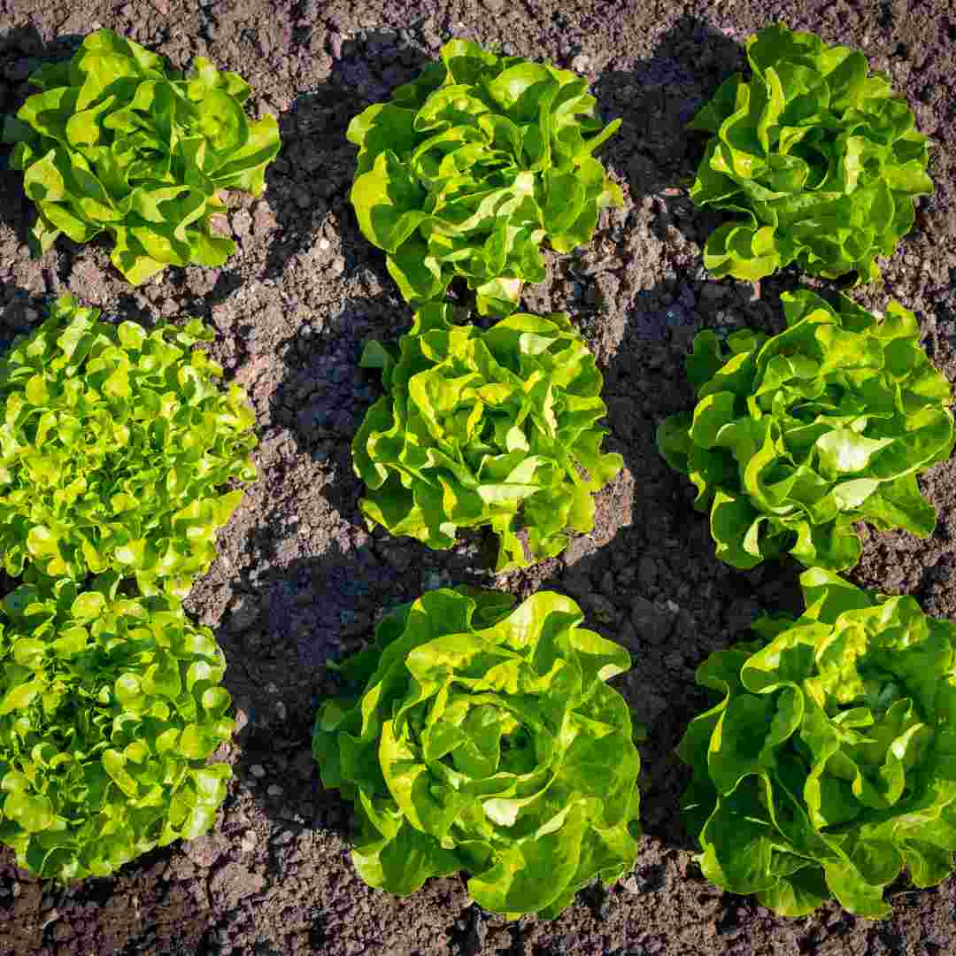 placeholder image-sq