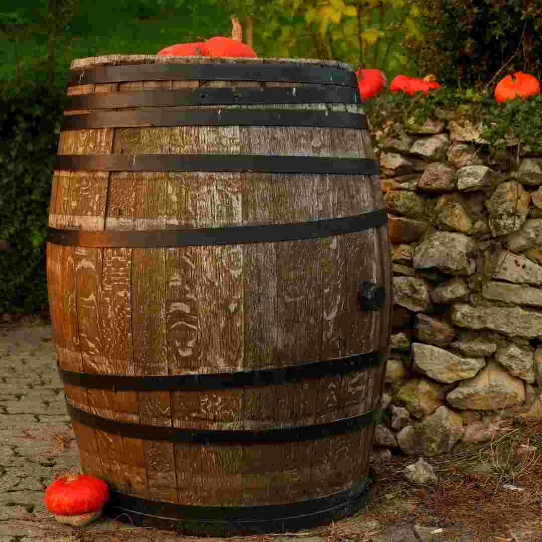 placeholder image-sq